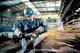 Болгарка Metabo WE 17-150 Quick Картонна коробка (601074000)